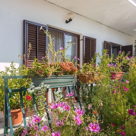 Apartment Vinka Trogir Dış mekan fotoğraf
